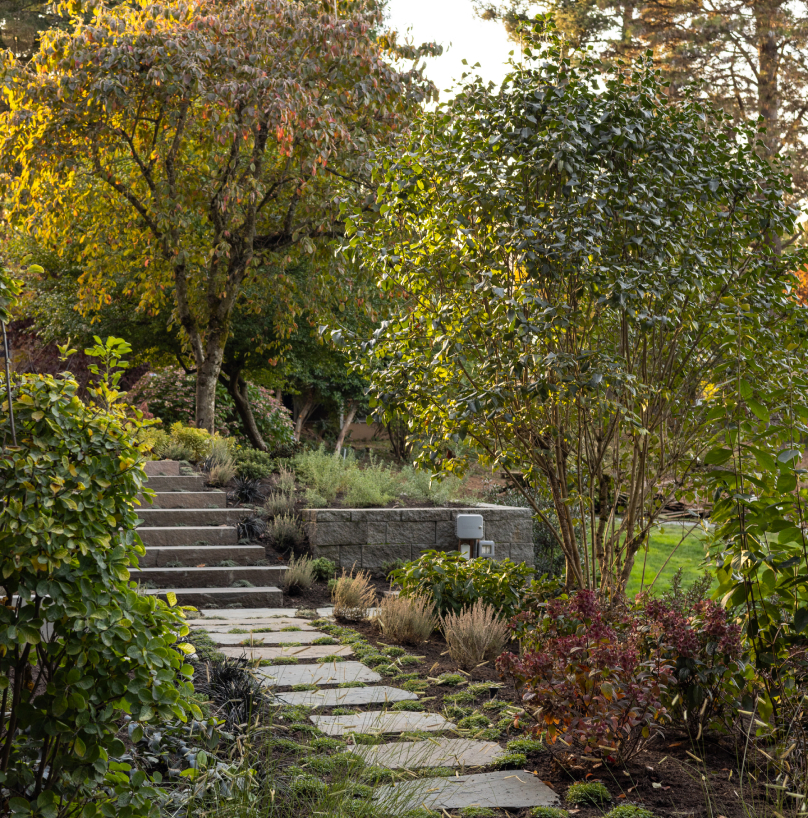 Miranda-Estes-Photography-PAC-Mercer Island Landscape-17 1