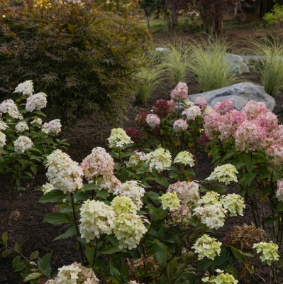 Miranda-Estes-Photography-PAC-Mercer Island Landscape-24-2