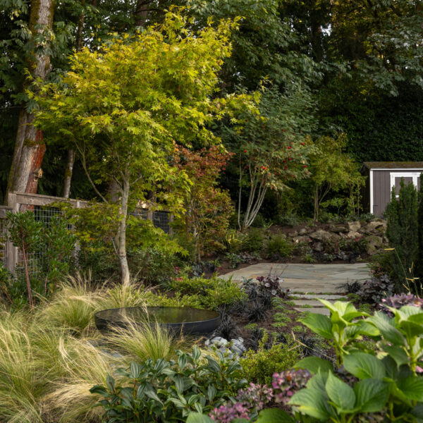 Miranda-Estes-Photography-PAC-Mercer Island Landscape-10