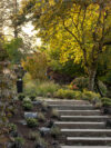 Miranda-Estes-Photography-PAC-Mercer Island Landscape-21