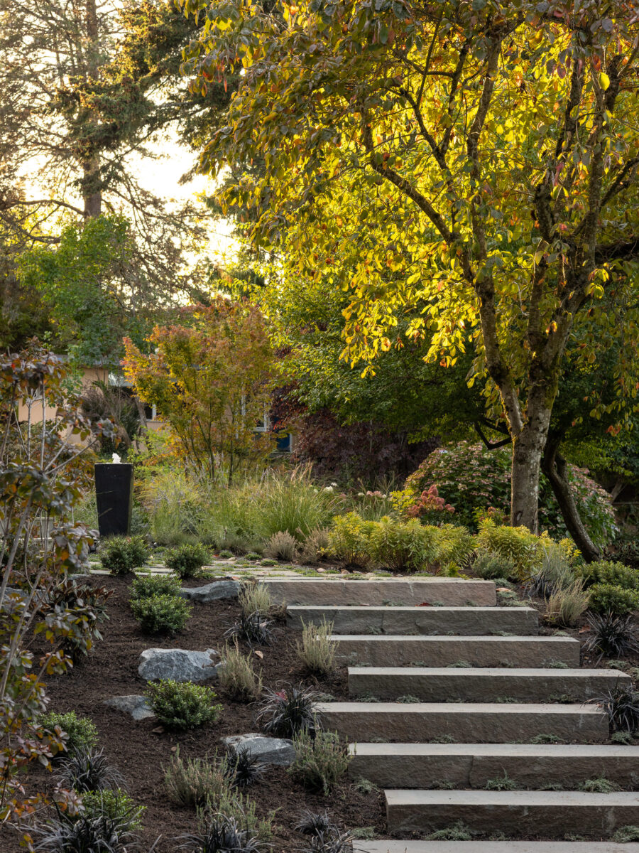 Miranda-Estes-Photography-PAC-Mercer Island Landscape-21