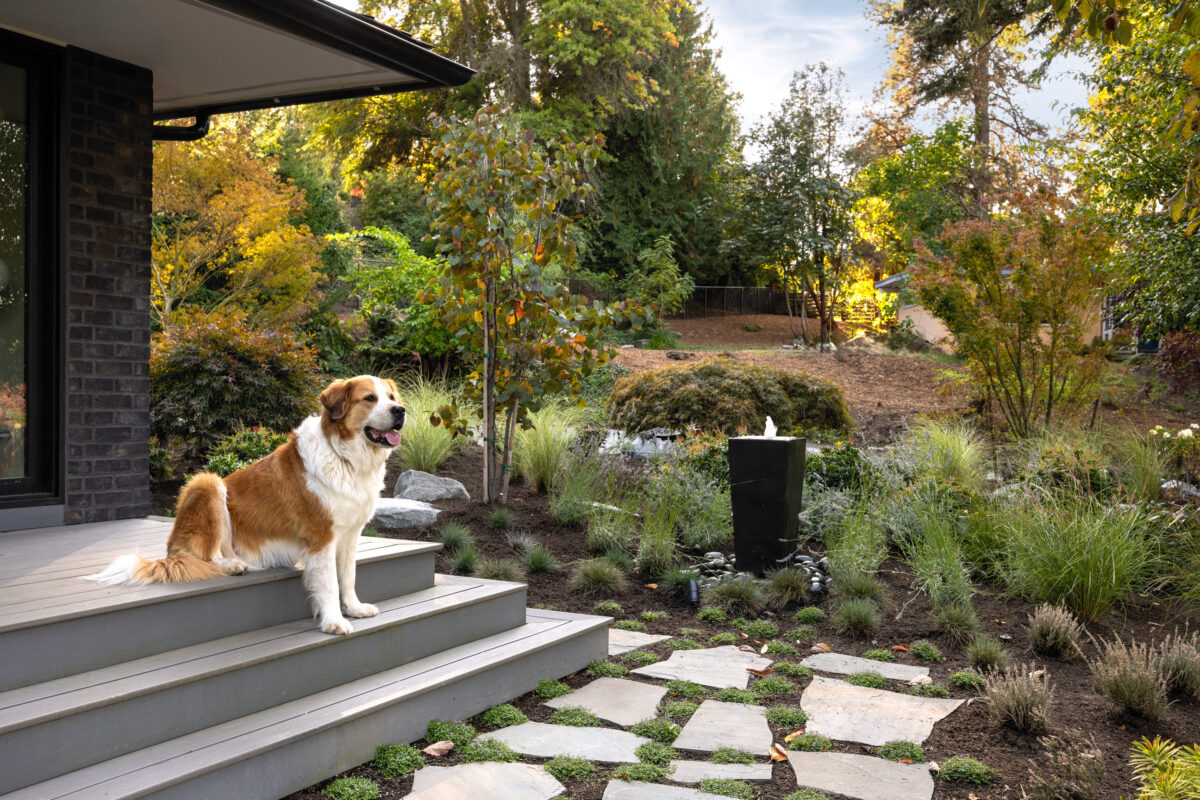 Miranda-Estes-Photography-PAC-Mercer Island Landscape-24