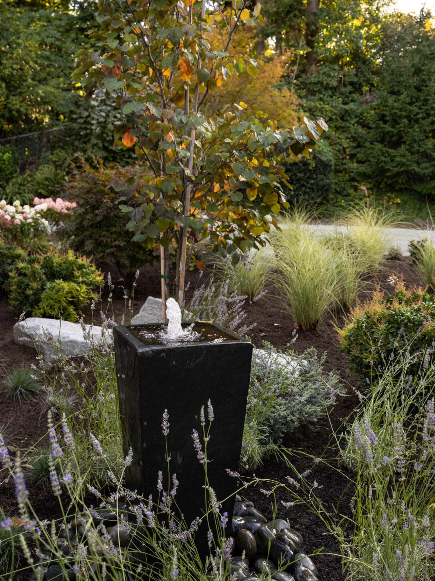 Miranda-Estes-Photography-PAC-Mercer Island Landscape-25