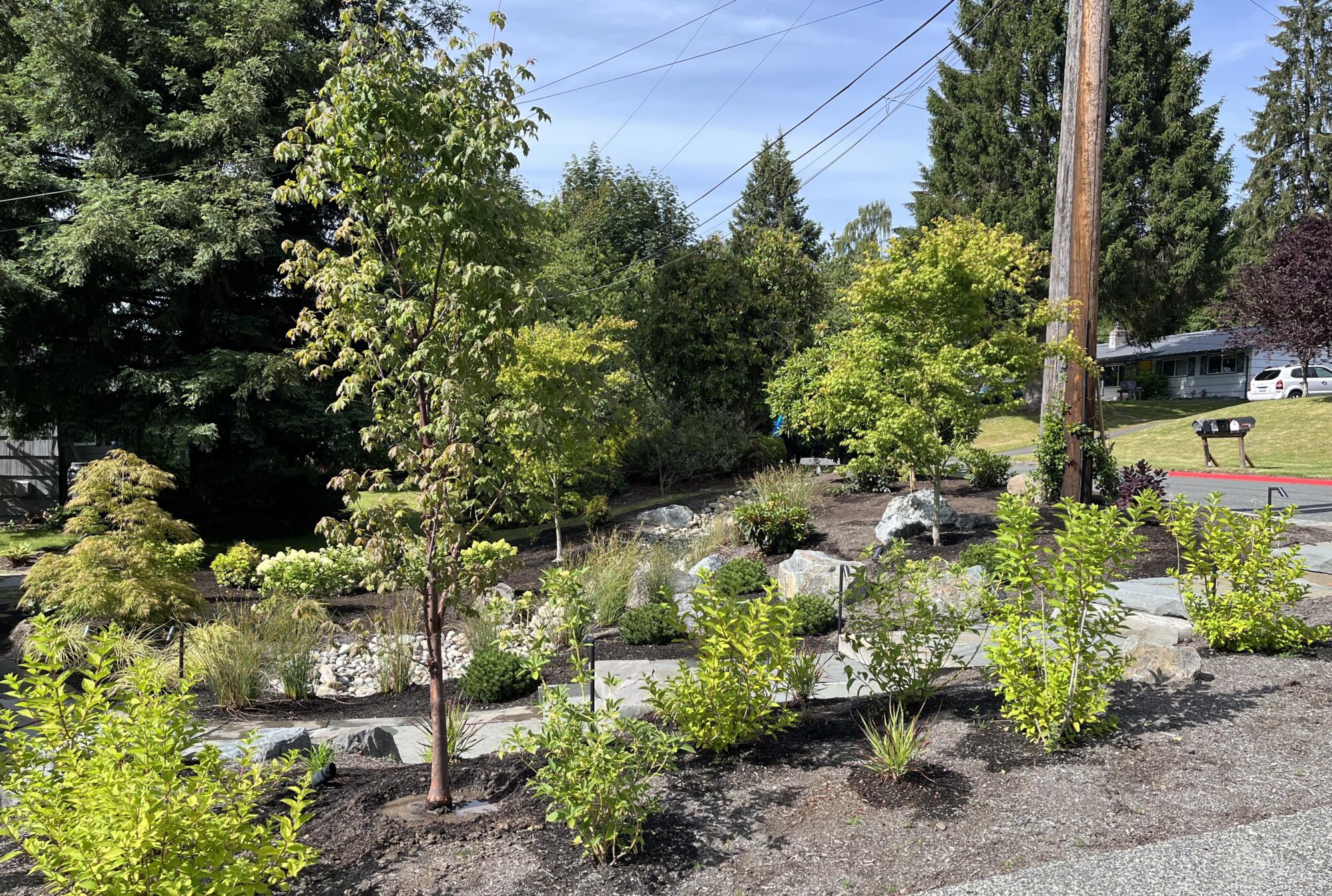 Mountlake Terrace 3 copy