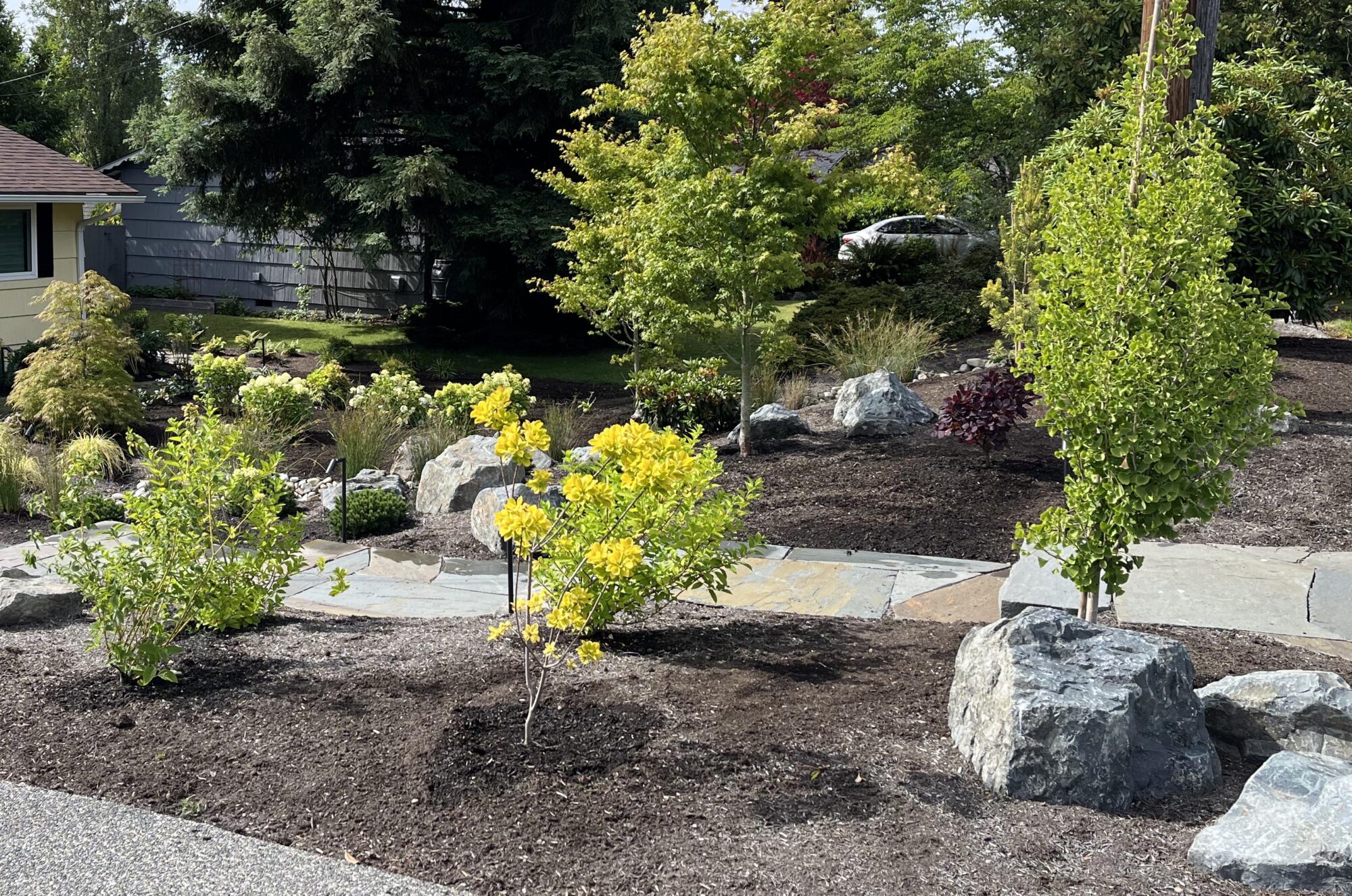 Mountlake Terrace 4
