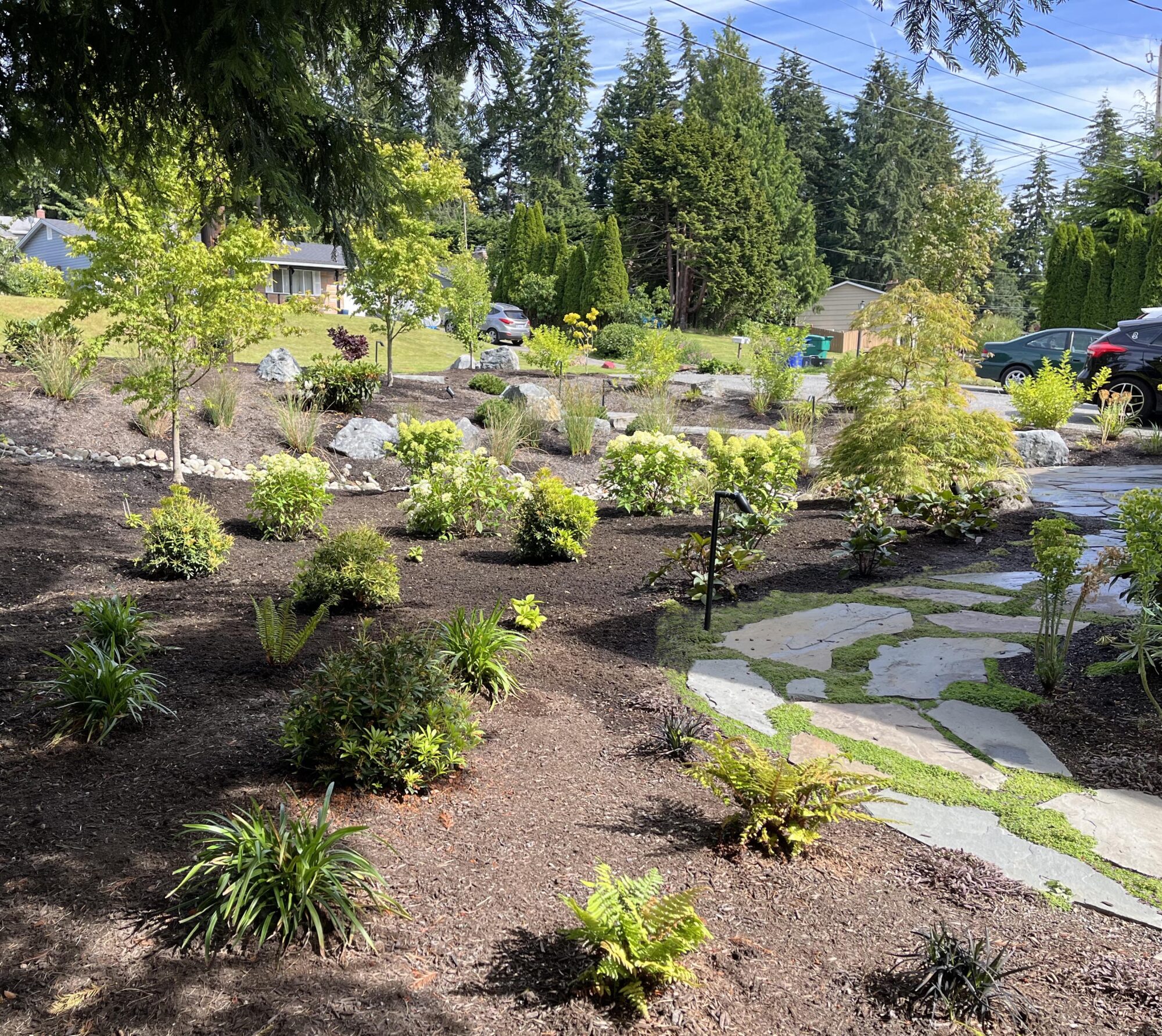 Mountlake terrace 1